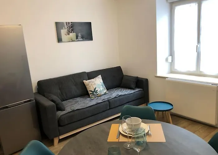 F2 Au Pied De La Basilique Appartement *